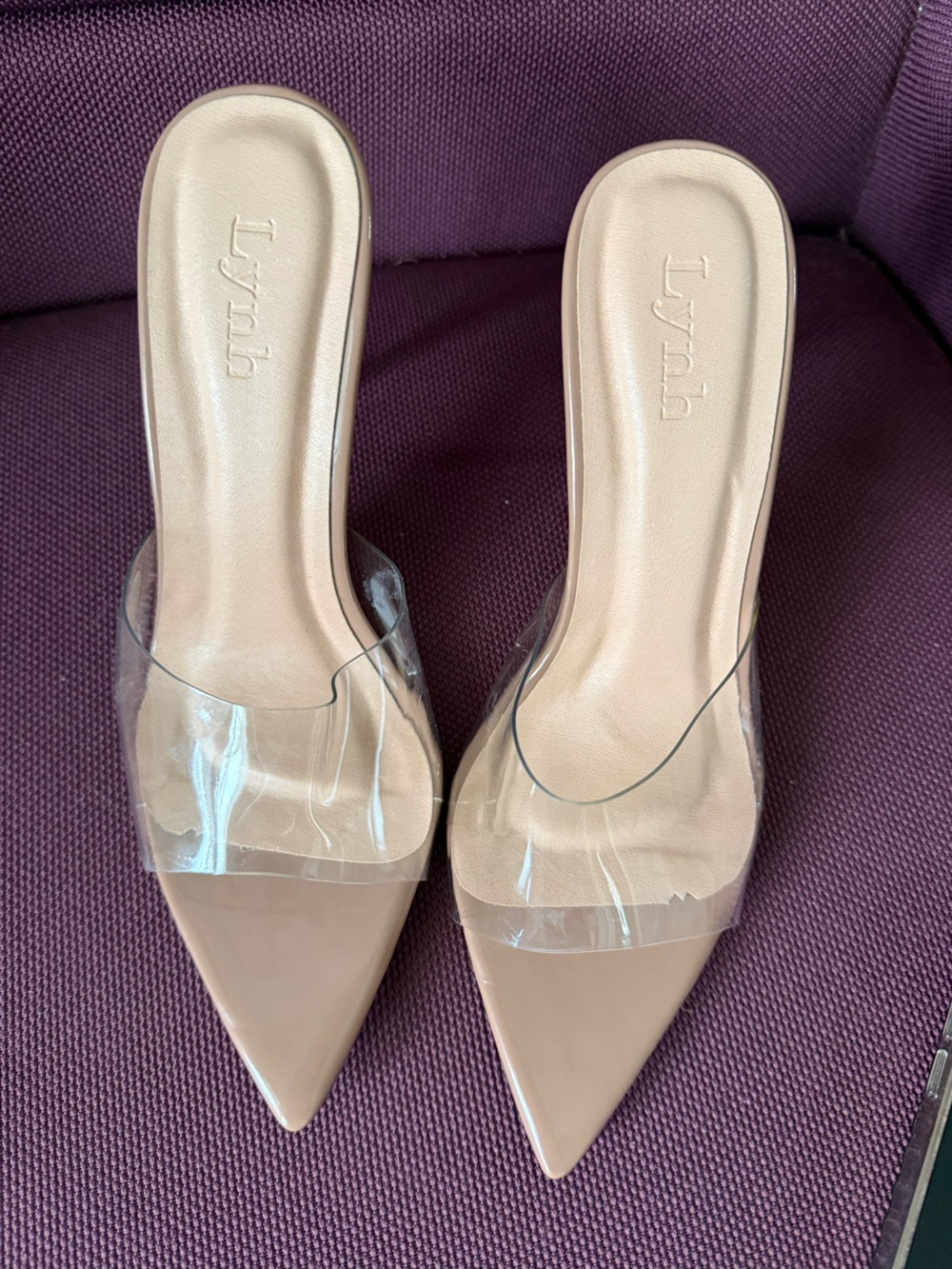 Nude Pointed-Toe Clear Strap Slide Mules